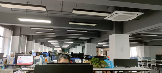 Máquina automática de processamento de ovos de codorna/máquina de descascar ovos de aves