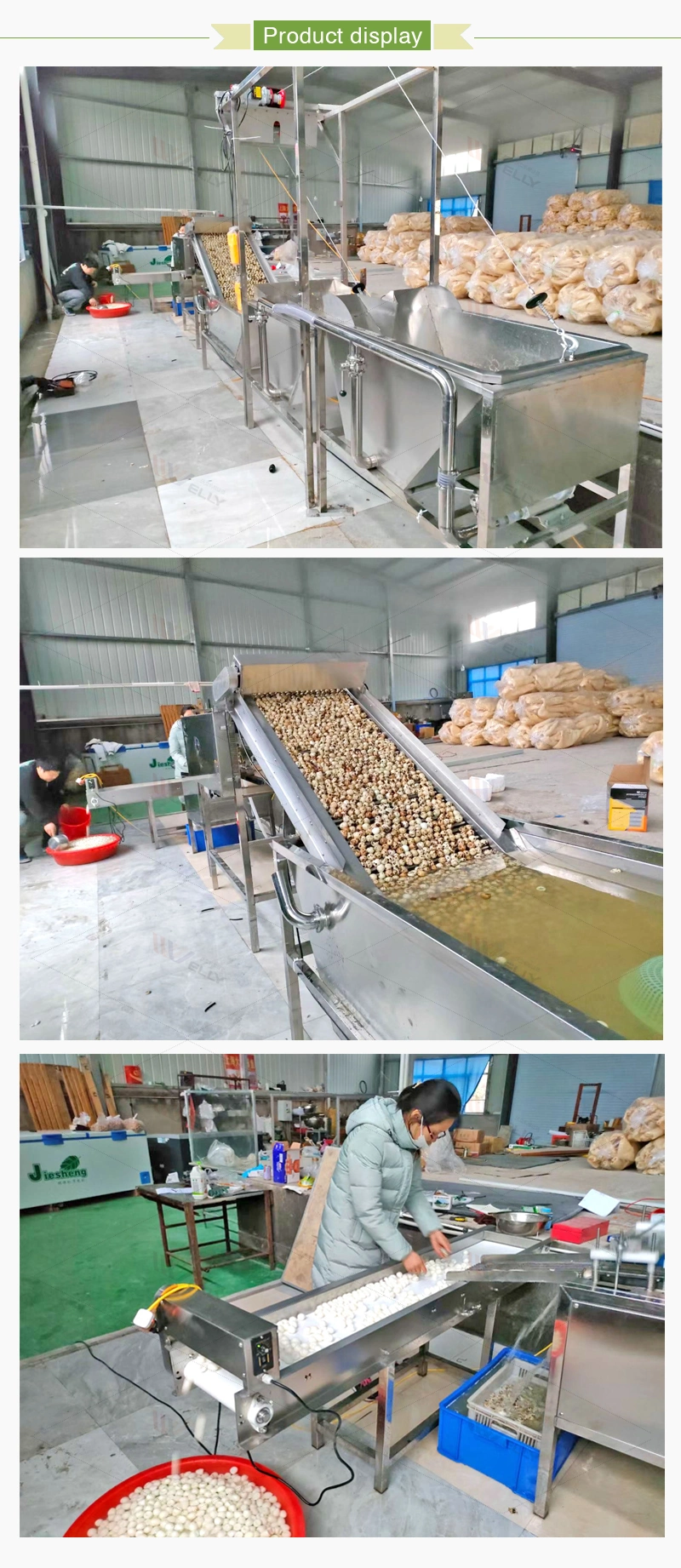 Durable Quail Egg Boiling and Peeling Production Line Automatic Quail Egg Production Line