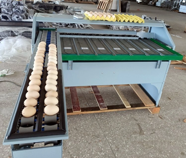 Industrial Automatic Egg Weighing Candling Sorter Grader Machine Egg Sorting Grading Machinery