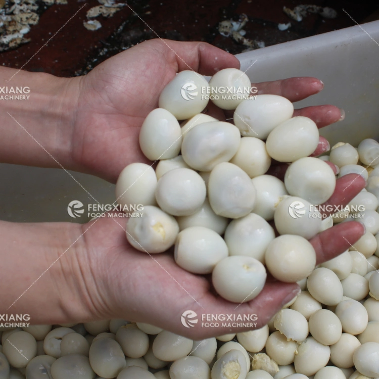 Boiled Quail Egg Peeling Shelling Machine for Sales