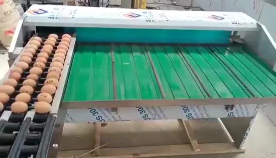 Chicken Egg Grader Machine Egg Scale Egg Grader Duck Egg Grader Egg Size Grader Small Egg Grader Machine Manual Egg Grader Machine Egg Grading Machine