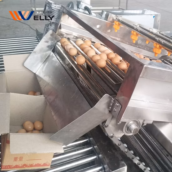 Máquina Industrial de Descascar Ovos Cozidos Máquina de Ferver Ovos Caldeira Fogão