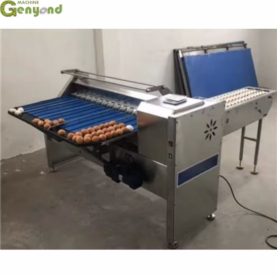 Máquina automática de classificação de ovos Classificador classificador de ovos de galinha Classificador Máquina de pesagem