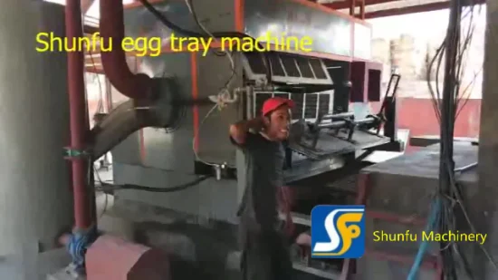 Máquina para fazer bandejas de frutas de papel/máquina formadora de bandejas para ovos com alto rendimento