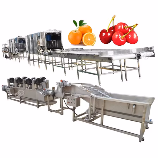 Máquina de processamento de frutas Lavagem de vegetais Secagem Linha de enceramento