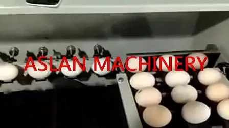 Classificadora de ovos de boa qualidade com alta eficiência/máquina de classificação de ovos elétrica/máquina de classificação de peso de ovo de pato de novo tipo