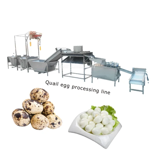 Fornecimento de fábrica Máquina de Descascar para Limpeza de Ovos de Codorna Linha de Fabricação de Descascamento de Ovos de Codorna