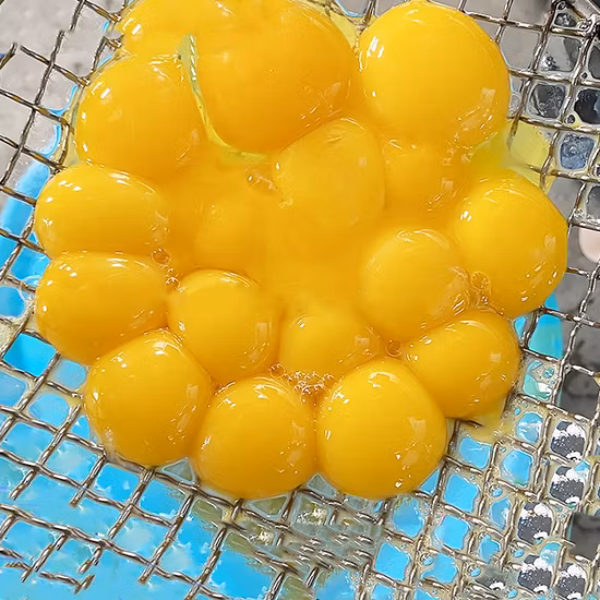 Quebra-Ovos para Separador de Gemas e Claras