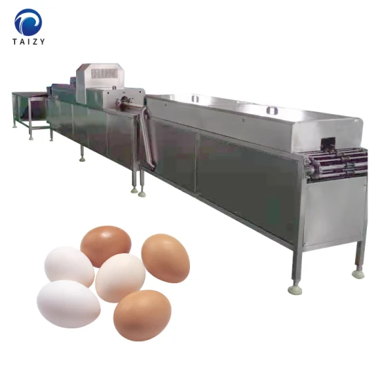 Lavadora de ovos de aves de aço inoxidável para limpeza de máquina de limpeza de ovos de galinha Máquina de lavar ovos de galinha